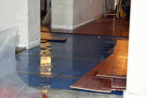 Professional Water Damage Restoration technician working in Plainville, GA